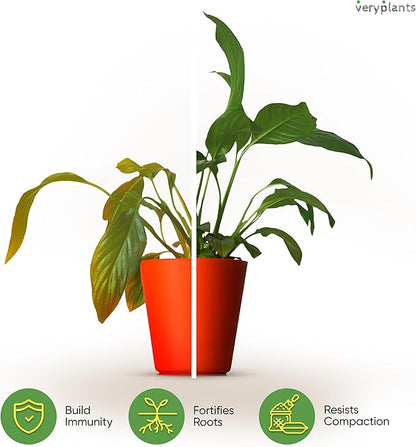 Molly's Aroid Mix - Premium Soilless Potting Mix for Houseplants - Fast Draining, Chunky & Easier to Water vs. Soil for Indoor Plants - with Bark, Coco Chips, Worm Castings, Mycorrhizae 5 Dry Quarts