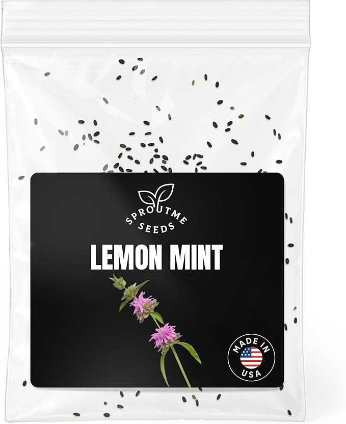 Lemon Mint Seeds (Monarda citriodora) for Planting – 200+ Heirloom Non-GMO Seeds, Lemon Scented Tea Herb & Pollinator Flower, High Germination, Indoor Outdoor Growing