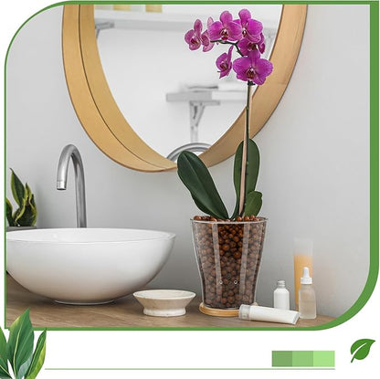 Baderke Glass Orchid Pots with Holes and Bamboo Tray Glass Pot Water Level Control Semi Hydroponic Transparent Root Transparent Indoor Orchid Planter for Home Indoor Outdoor Plant Lovers (5.12 Inch)