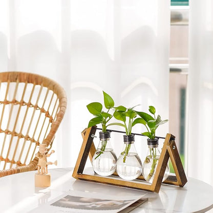 Marbrasse Plant Propagation Stations with Wooden Stand, Desktop Plant Terrarium Holder Bulb Vase, Glass Vase Container with Metal Swivel Holder for Hydroponics of Home Garden Office Decor Lover Gifts