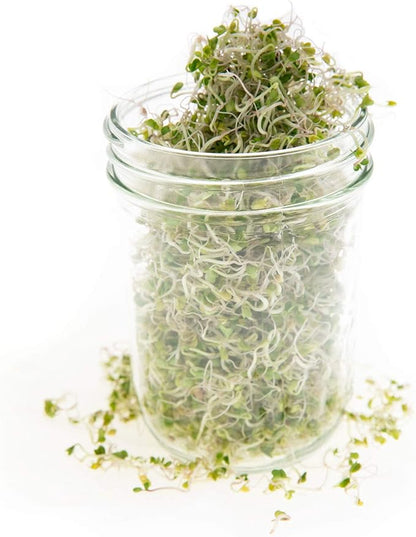 Broccoli Trio Sprouting & Microgreen Mix | Contains 3 Heirloom, Non GMO Broccoli Sprouting Seed Varieties for Sprouts & Microgreens | 1 LB Resealable Bag | Rainbow Heirloom Seed Co.