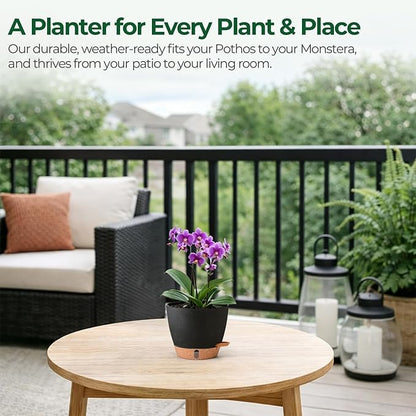 T4U 6 Inch Self Watering Pots for Indoor Plants - Mess-Free Bottom Watering Planter for Herbs/Pothos/Succulent Plants, Indoor Outdoor Use (Black, 4 Pack)