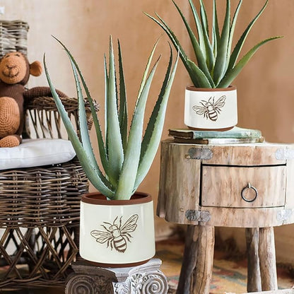 YBX Terracotta Pots Inch with Drainage Holes, Bee Decor, Ceramic Pots for Indoor Plants Flower Pots Outdoor, Succulent, Herbs, Snake Plants (White, 6+4 Inch)