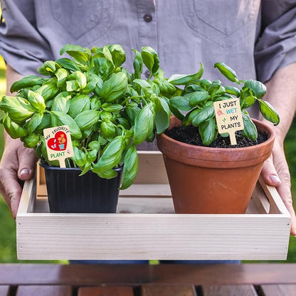 UPINS 24Pcs Acrylic Plant Labels Plant Markers Plant Tags Signs with Funny Words for Indoor Outdoor Gardens Plants