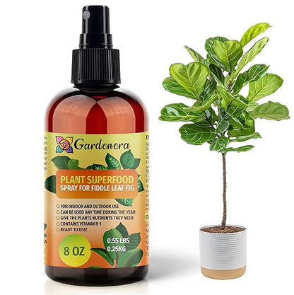 𝐁𝐄𝐒𝐓𝐒𝐄𝐋𝐋𝐄𝐑 Plant Superfood for Fiddle Leaf FIG Plants with B1 Vitamin, Glucose and Essential Minerals - Organic Plant Food Fertilizer for Indoor & Outdoor Fiddle Leaf FIG - 8oz