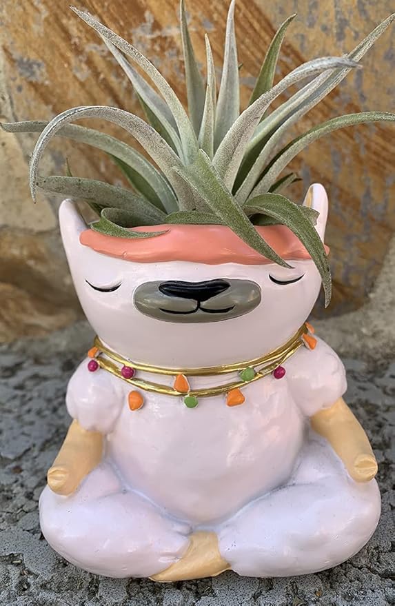 GFF Grass Flip Flops Animals Planters Lama 4 Inch Plant Pots for Succulents Flowers Herbs Houseplants - Indoor Outdoor Live Plants Stand Garden Home Office Kitchen Decor