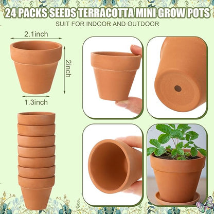 Baby Shower Party Favors Baby in Bloom Envelopes Seed Packets Include 24 Mini Terracotta Pots Seed Packets 24 Self Adhesive Envelopes Thank You Tags Gifts for Party(Greenery)