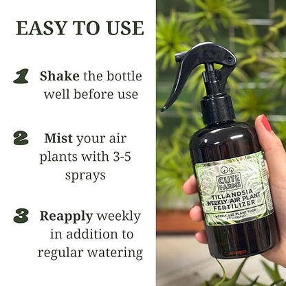 Cute Farms Tillandsia Air Plant Fertilizer | Gentle Weekly Use Formula Plant Food | Formulated Nutrients for Air Plants (Two - 8 oz. Spray Bottle)