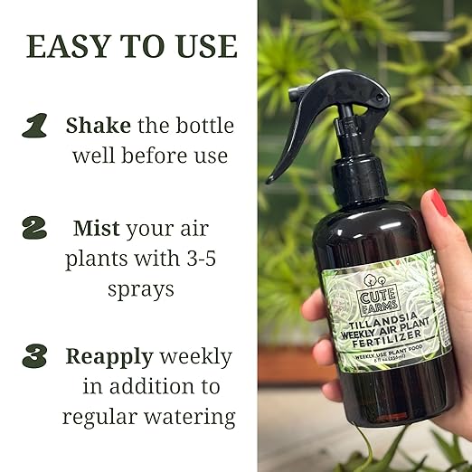 Cute Farms Tillandsia Air Plant Fertilizer | Gentle Weekly Use Formula Plant Food | Formulated Nutrients for Air Plants (8 oz. Spray Bottle)