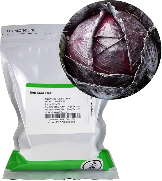 Red Acre Cabbage Microgreens & Sprouting Seeds – 5 Lb – Non-GMO, Chemical-Free – High-Germination Seeds for Nutritious Microgreens, Sprouts, Hydroponic Growing, and Indoor Gardening
