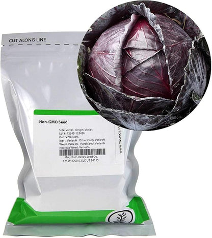 Red Acre Cabbage Microgreens & Sprouting Seeds – 5 Lb – Non-GMO, Chemical-Free – High-Germination Seeds for Nutritious Microgreens, Sprouts, Hydroponic Growing, and Indoor Gardening