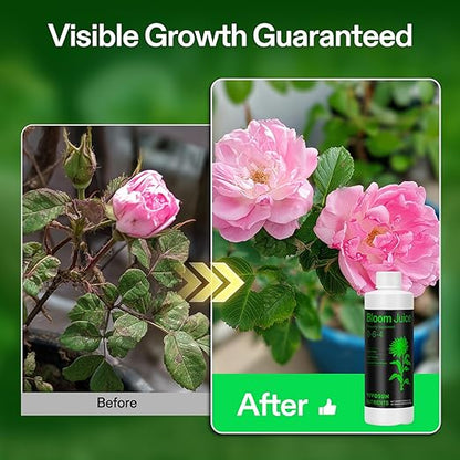 VIVOSUN Bloom Juice (0-6-4), Flowering Supplement Liquid Fertilizer for Flowering Stage, Concentrated Plant Food for All Flowering Plants, 8 Ounces (Pack of 2)