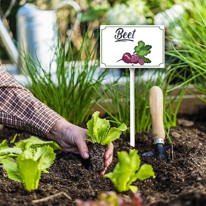 Boylee Vegetable Signs With Stake Ripe Red Beets Garden Signs For Vegetables Herb Garden Signs Garden Name Stakes For Plants 8x12inch Outdoor Indoor Herbs Flowers Potted Plants