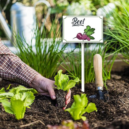 Boylee Vegetable Signs With Stake Ripe Red Beets Garden Signs For Vegetables Herb Garden Signs Garden Name Stakes For Plants 8x12inch Outdoor Indoor Herbs Flowers Potted Plants