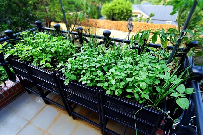 Elevated Raised Garden Bed with Legs 14" Depth Planter Box | Non-Toxic Sun Protected Material | 36" L X 24" W X 27" H for Easy Planting | Vegetable & Herb Backyard Patio
