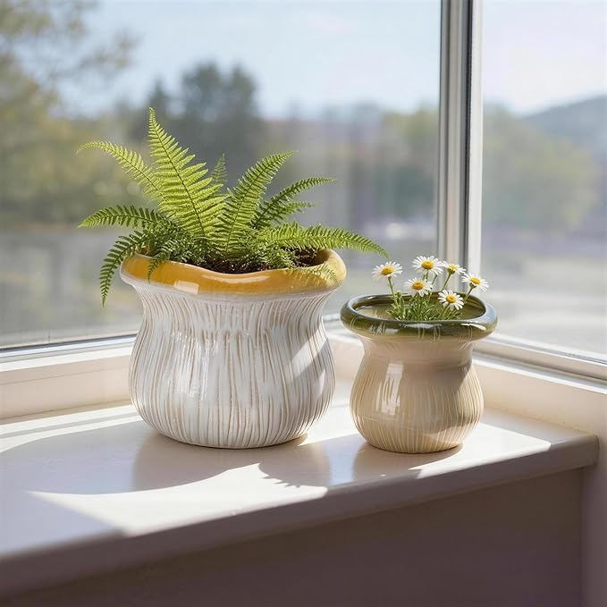 2 Pack Plant Pot Flower Pots Ceramic Planter with Drainage Hole Small Ceramic Pots for Indoor Outdoor Plants Succulent Pot