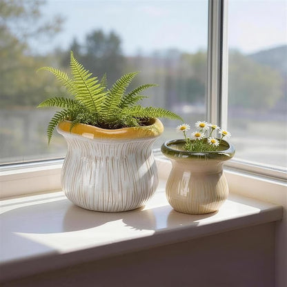 2 Pack Plant Pot Flower Pots Ceramic Planter with Drainage Hole Small Ceramic Pots for Indoor Outdoor Plants Succulent Pot