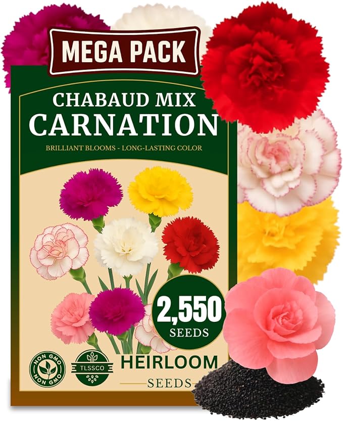 2550+ Carnation Flower Seeds for Planting, Pack for 2026 USA Premium Non-GMO Flower Seeds- AKA. Dianthus Caryophyllus Chabaud Mix Perennial