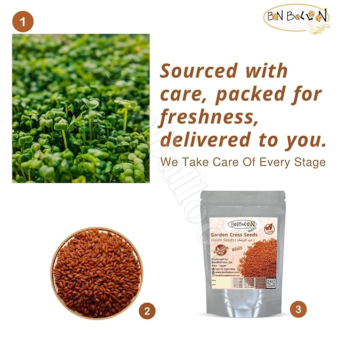 Egyptian Garden Cress Seed Seeds Pure Natural Herbal Herb Herbs Herbals (1 Pack = 8.82 oz / 250 gm) Seasoning Spice Spices Bulk Egypt Arab Arabic Arabian No Additives Non Gmo Kosher Halal حب الرشاد