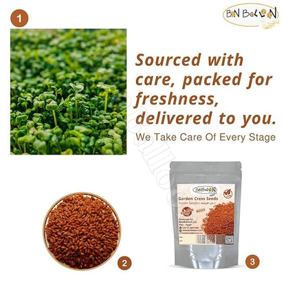 Egyptian Garden Cress Seed Seeds Pure Natural Herbal Herb Herbs Herbals (1 Pack = 8.82 oz / 250 gm) Seasoning Spice Spices Bulk Egypt Arab Arabic Arabian No Additives Non Gmo Kosher Halal حب الرشاد
