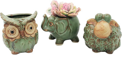 Cotta Planters Cute Animal Succulent Planter Pots 3 Pack Sheep Planter Elephant Pot Owl Planter with Drainage Hole for 2" Small Plants