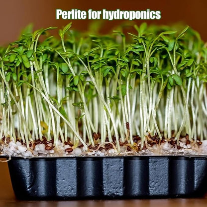 Horticultural Perlite for Plants 1qt, All Natural Horticultural Soil Additive Conditioner Mix, Improve Ventilation and Drainage, Enhance Soil Health and Root Growth
