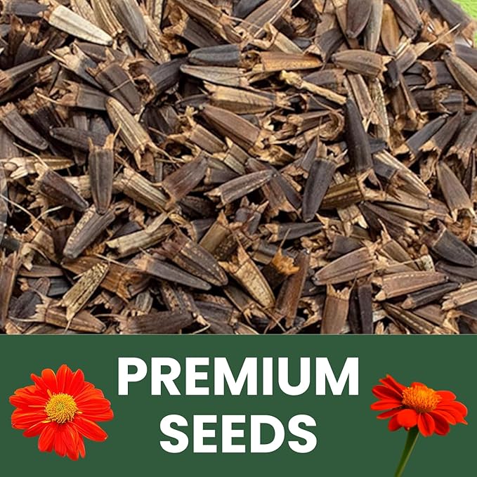 Mexican Sunflower (Red) – 9,000 Seeds for Planting – 4-Ounce Pack – 2026 Growing Season