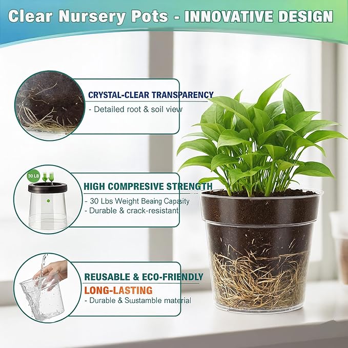 8/10 Inch Large Clear Nursery Pots with Drainage, 6 Pack Acrylic Plant Pots, 90% Light Transparency, Reusable for Flowers and Orchids, Indoor Outdoor Use, A Must-Have for Plant Lovers