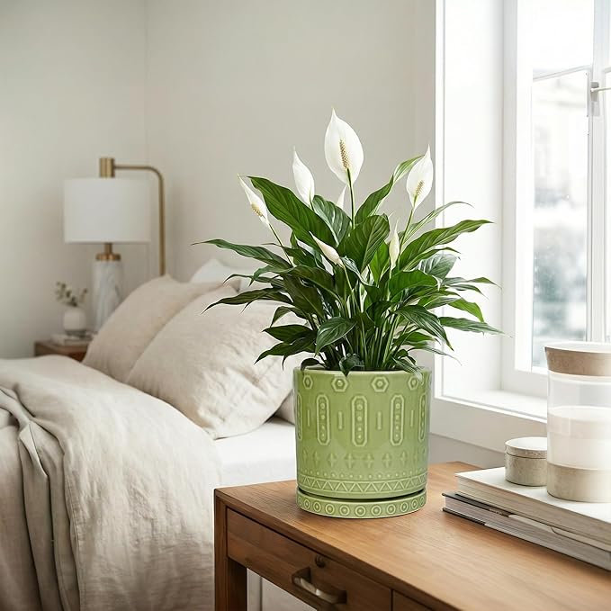 Ceramic Pots for Plants, 8 Inch Plant Pot with Drainage Hole and Tray, Round Planters for Indoor Plants, Modern Flower Pot, Decorative Planter, Living Room Decor, Gardening Gifts, Green
