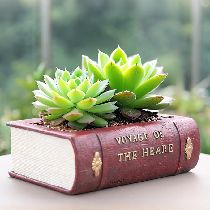 Succulent Pots Book Shaped Planter - Cute Resin Flower Pot Bookshelf Decor Creative for Sempervivum with Drainage, Gift for Women, Man, Office, Indoor Plants, Book Lovers, 7.0″x5.0″x2.3″