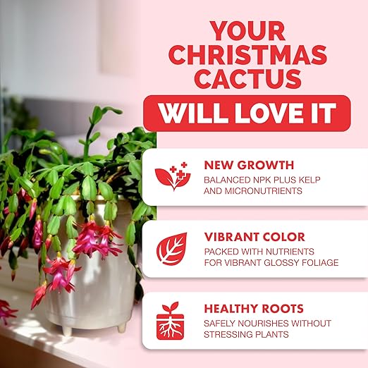 TPS NUTRIENTS Christmas Cactus Fertilizer for All Christmas Cacti and Schlumbergera Cacti, Liquid Plant Food 8 oz (250mL)