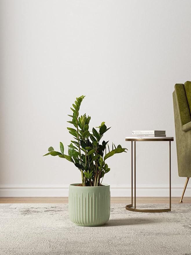 LE TAUCI Fluted Ceramic Pots for Plants, 8.3/7/6 Inch Indoor Planters with Drainage Holes & Mesh, Modern Glossy Glaze Cylinder Plant Pot for Snake Plant, Set of 3, Sage Green