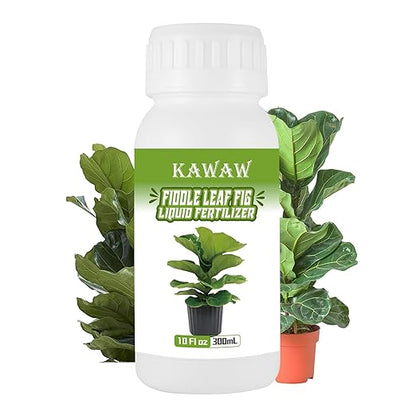 10oz (300ml) Fiddle Leaf Fig Probiotic Plant Food – Organic Microbial Nutrient Liquid for Indoor Plants, Promotes Greener Leaves & Stronger Roots