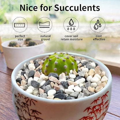 10 lbs Pebbles for Landscaping, 3/8 Inch Pea Gravel. Decorative Stones Rocks for Succulent, Cactus, Vases, Terrarium, Aquarium, Potted Top Dressing and Outdoor Garden