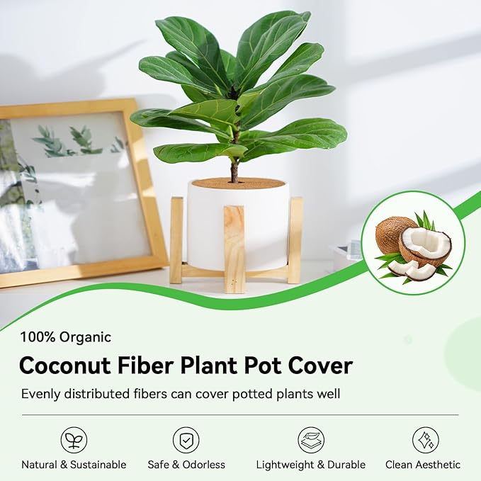 ZeeDix 3 Pack Coconut Fiber Mulch Ring, 11.8 Inch Coco Coir Tree Ring Mulch Mat, 100% Natural Tree Protector Mat Plant Cover Ring Coconut Coir Discs Tree Mats Mulch Rings for Indoor Outdoor Plants