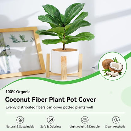 ZeeDix 6 Pack Coconut Fiber Mulch Ring, 11.8 Inch Coco Coir Tree Ring Mulch Mat, 100% Natural Tree Protector Mat Plant Cover Ring Coconut Coir Discs Tree Mats Mulch Rings for Indoor Outdoor Plants