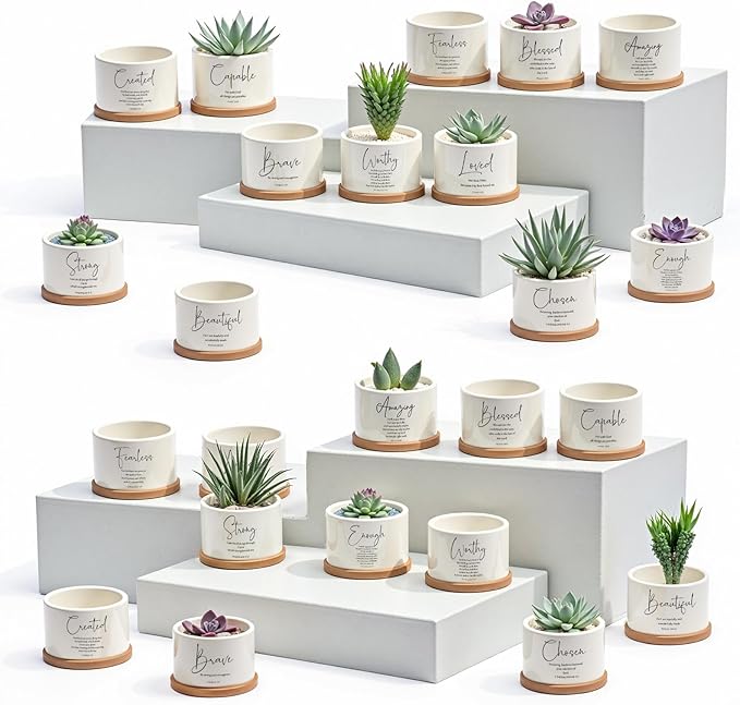 Fumete 24 Pcs Bible Verse Succulent Pots with Bamboo Tray Drainage 3.15 Inch Mini Ceramic Flower Planter Pot Christian Gifts for Women Sunday School Teacher Church Plants Not Included(Special Style)