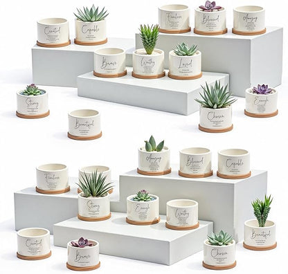 Fumete 24 Pcs Bible Verse Succulent Pots with Bamboo Tray Drainage 3.15 Inch Mini Ceramic Flower Planter Pot Christian Gifts for Women Sunday School Teacher Church Plants Not Included(Special Style)