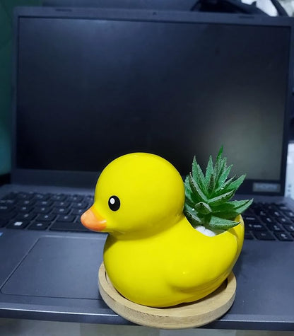 Cute Indoor Cartoon Animal Duck Shaped Ceramic Succulent Cactus Flower Plant Pots Planter with Drainage Hole - Plant Not Included (Small)