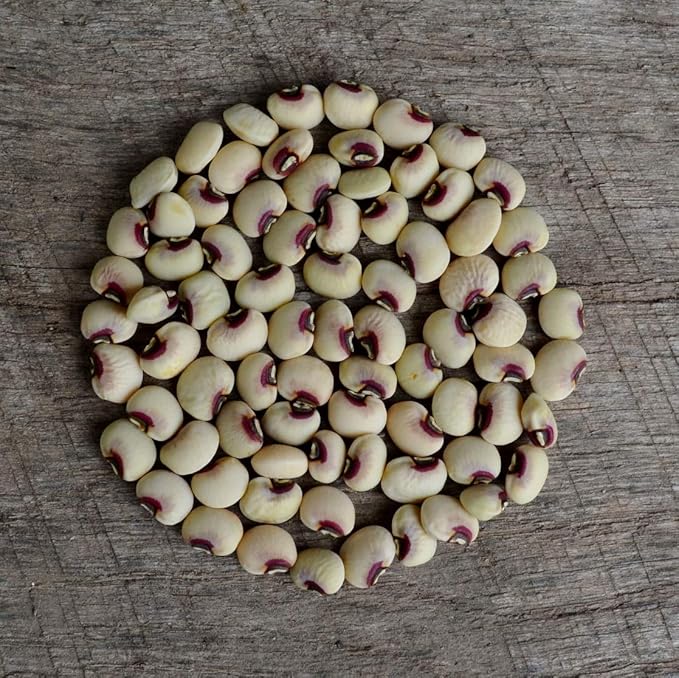 Pink-Eyed Purple Hull Cowpea - 50 Seeds - Heirloom Variety, USA-Grown, Non-GMO Purple Hull Pea Seeds for Planting Outdoors in The Home Garden, Thresh Seed Company