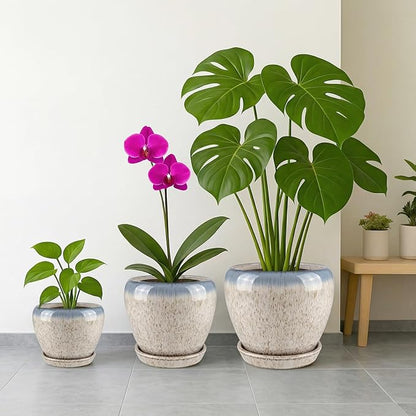Deep Dream 6 Inch Plant Pots- Ceramic Planter Pot with Drainage Hole and Saucer, Round Flower Pot for Indoor Outdoor Succulent, Snake Plants and Cactus, Beige&Blue