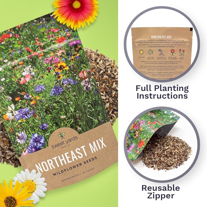 Sweet Yards - Northeast Wildflower Seed Regional Mixes - Bulk 1/4 Pound Bag - Over 30,000 Native Seeds - Open Pollinated and Non GMO Varieties for New York, Virginia, Pennsylvania, Maine and More!