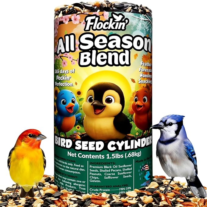 All Year Round Bird Seed Cylinders with Hole – All Season Wild Bird Food for Blue Jays, Cardinals, Doves, Finches & More – Balanced High Energy All Natural Blend, No Fillers – USA Made (4" x 7.75")