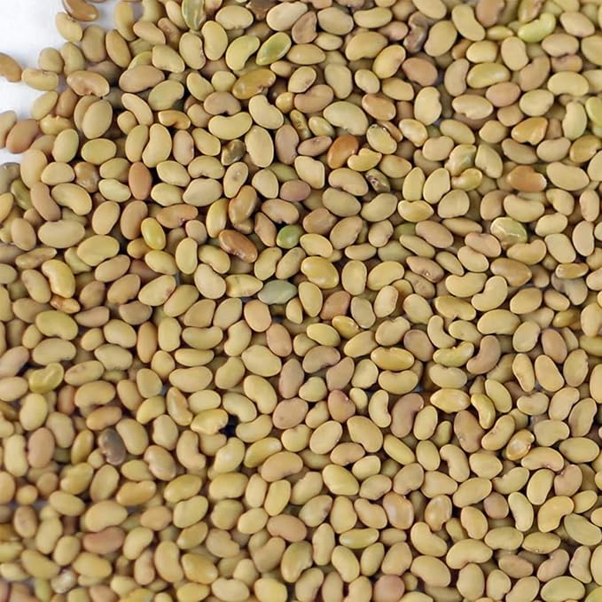 Certified Organic Alfalfa Sprouting Seed - 4 Oz - Handy Pantry Brand - High Sprout Germination- Edible Seeds, Gardening, Hydroponics, Growing Salad Sprouts, Planting, Food Storage & More