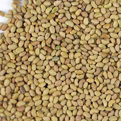 Certified Organic Alfalfa Sprouting Seed - 4 Oz - Handy Pantry Brand - High Sprout Germination- Edible Seeds, Gardening, Hydroponics, Growing Salad Sprouts, Planting, Food Storage & More