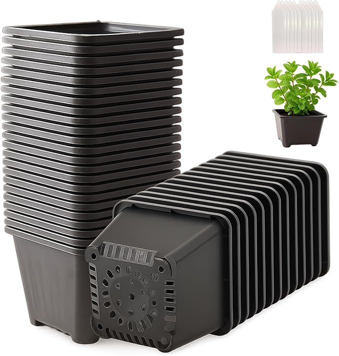 50 Packs Square Nursery Pots for Plants 3.5 Inch Succulent Plant Pots Set Plastic Seedling Starting Pots with Drainage Holes Nursery Pots Variety Pack Flower pots Planter Seed Starter, Black