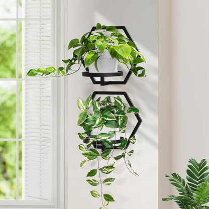 3 Packs Wall Planters for Indoor Plants, JOPBENG 7.9inch Metal Wall Plant Holder Hanger Wall Decor, Wall-Mounted Hanging Planters Window Plant Shelves Outdoor(Black)