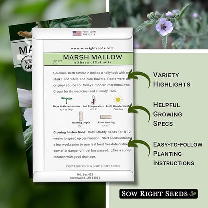 Sow Right Seeds - Marsh Mallow Seeds for Planting - Heirloom Non-GMO Variety - Ideal for Indoor or Outdoor Herbal Gardens - Grow Your Own Culinary and Medicinal Marshmallow Root Herbs (4)