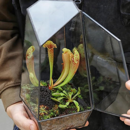 Carnivorous Plant Soil Mix 4qt, Pure Peat Moss and Perlite Mixture for Venus, Pitcher, Butterwort, Nepenthes, Sundew
