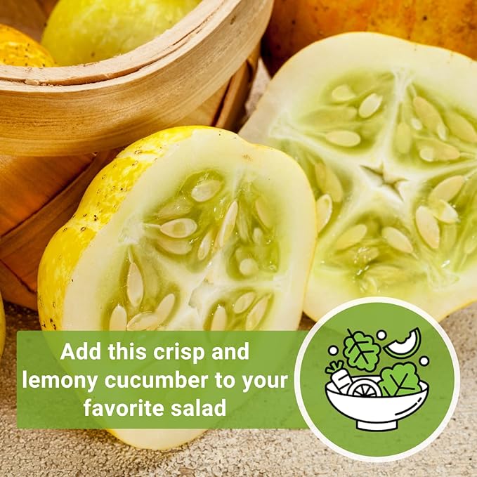 Sow Right Seeds - Lemon Cucumber Seeds for Planting - Non-GMO Heirloom Seeds with Instructions to Plant and Grow a Home Vegetable Garden - Unique Round Variety with Melon Flavor for Outdoors (1)